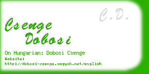 csenge dobosi business card